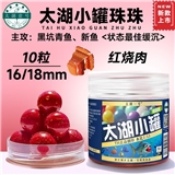 太湖一号青鱼珠珠太湖小罐10粒18mm红烧肉 预备仓库1货架
